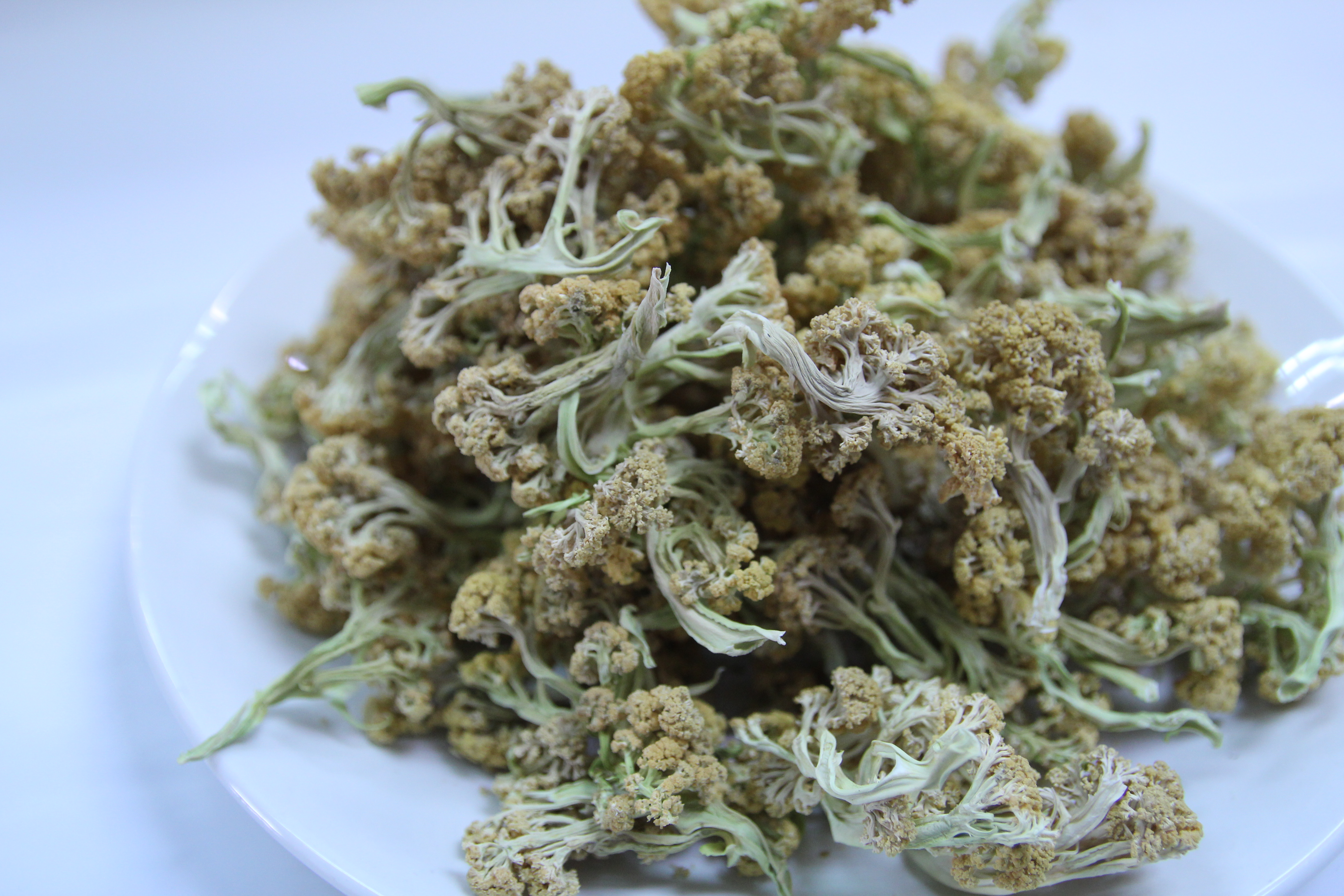 白花椰菜 Broccoli