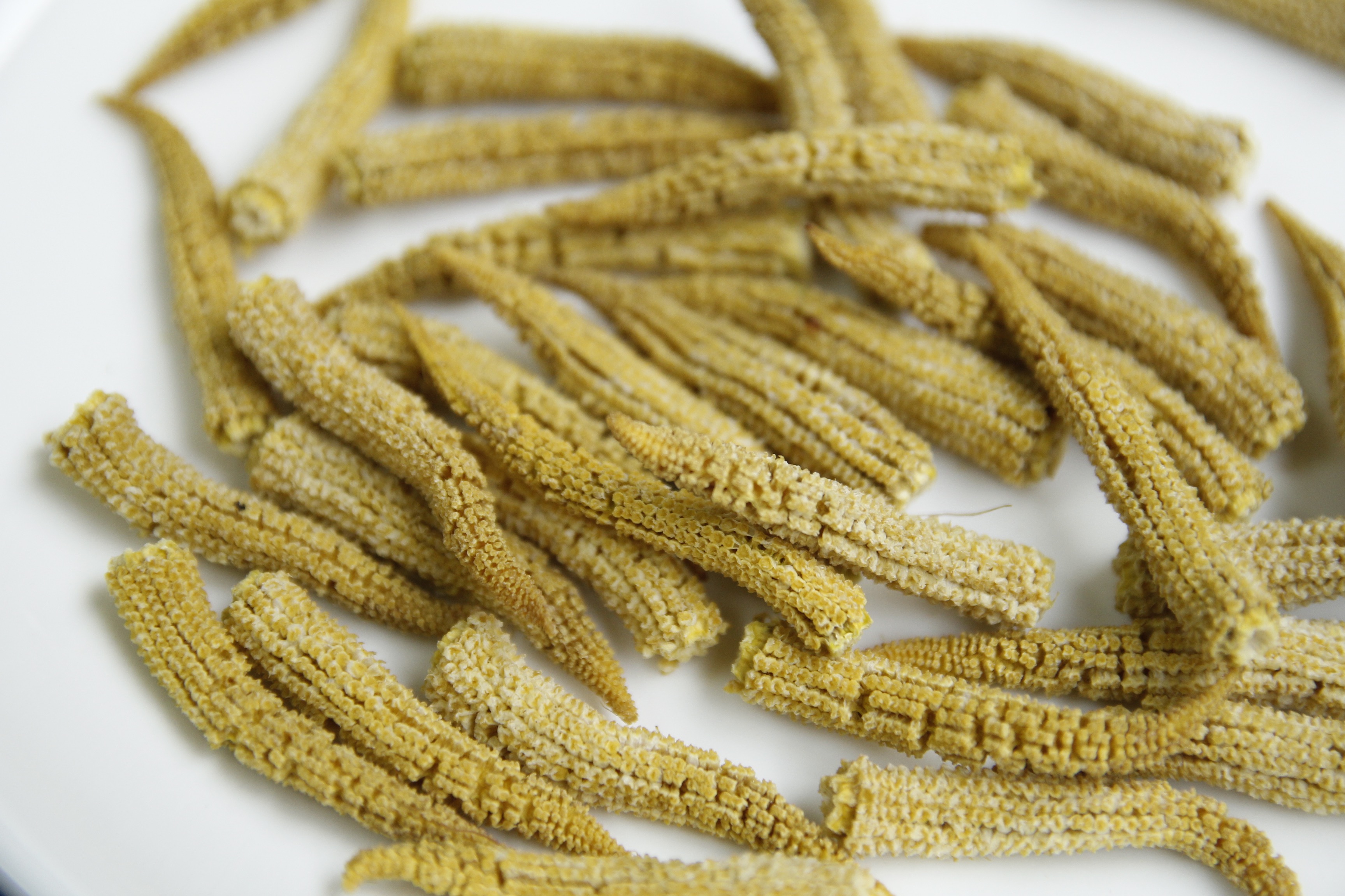 玉米筍 Baby corn
