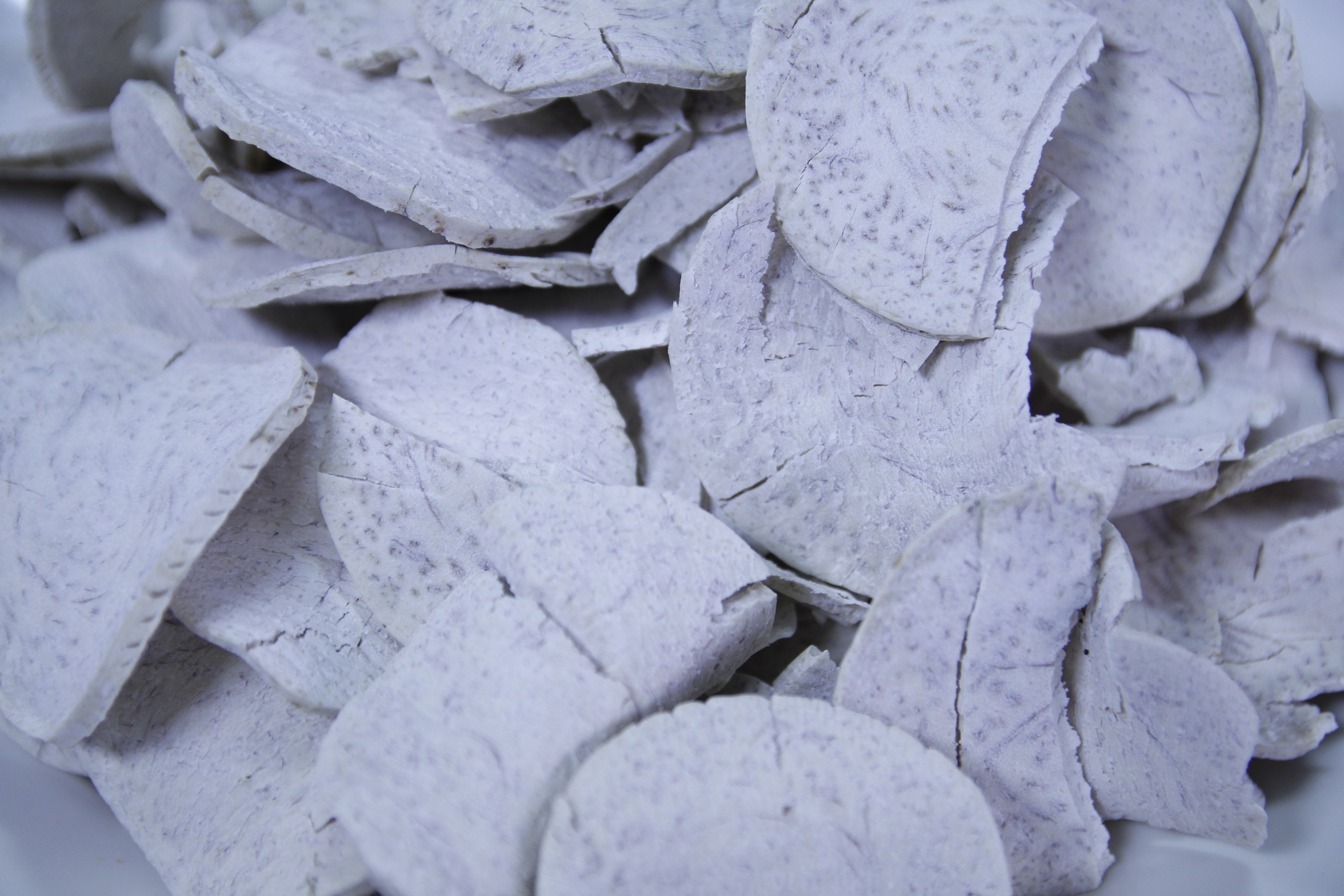 芋頭 Taro