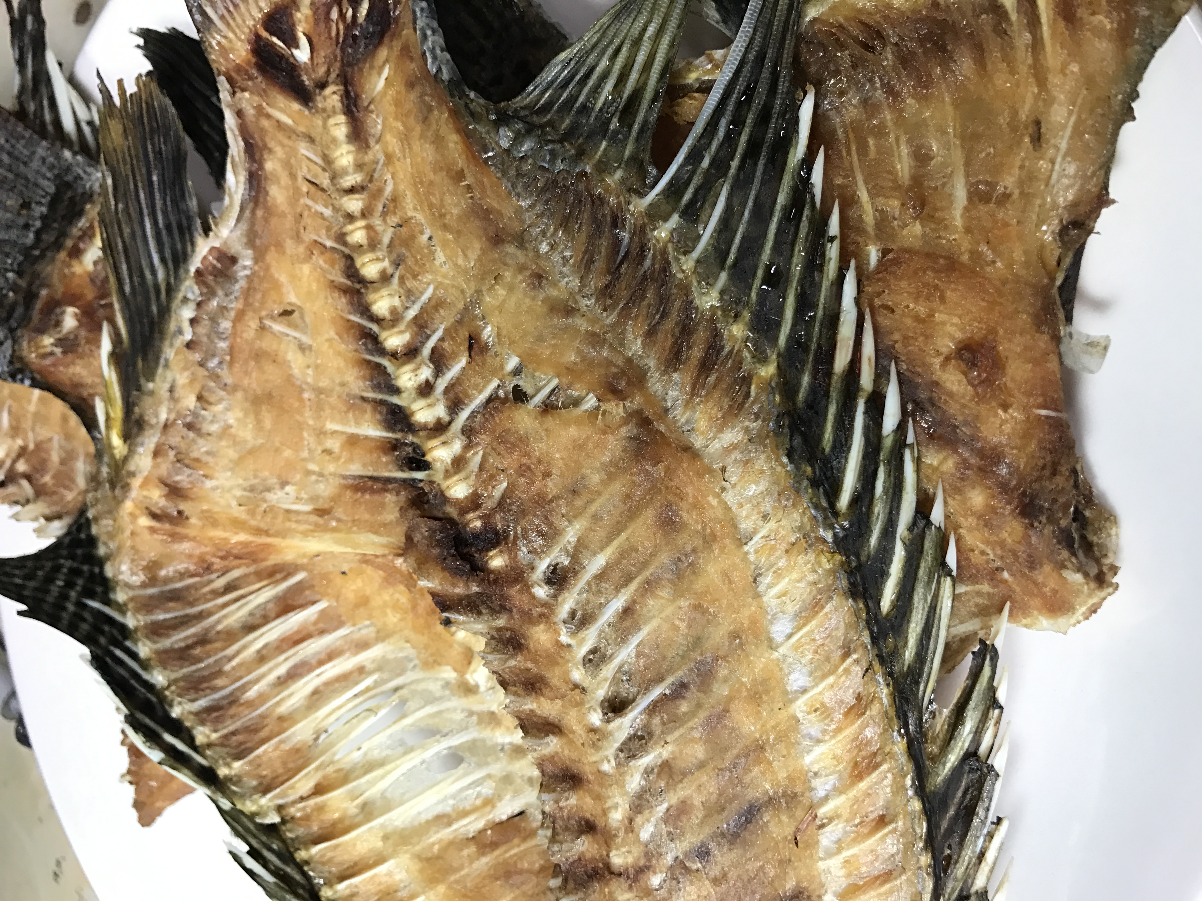 台灣鯛片 Taiwan Tilapia fillet
