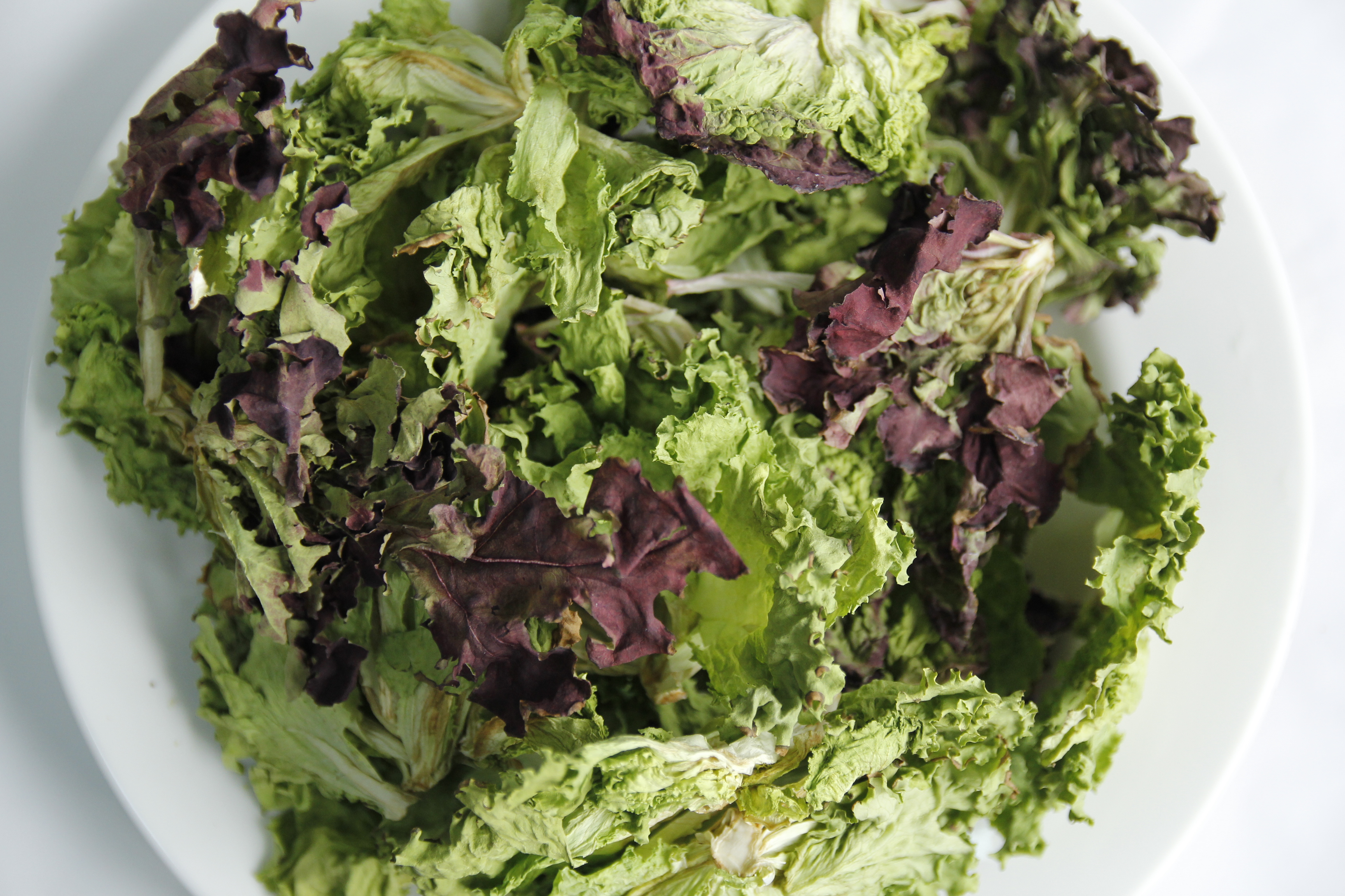 生菜 Lettuce