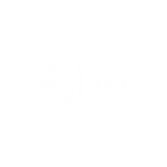 VizerLogoAzul