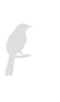 Pau is a bird logo 3.png