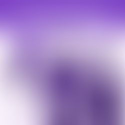 The Art of Negotiating a Domain Deal