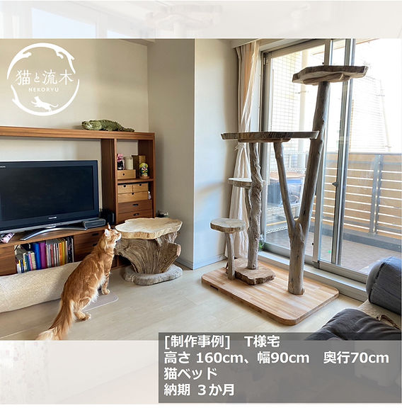 【商談中】流木キャットベッド『ふわ部屋』 製作事例⑤神奈川県・個人宅 メインクーンのための頑丈で広々した