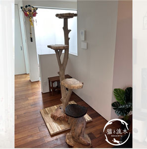 おしゃれな流木キャットタワー 専門店の猫と流木ねこりゅう｜キャット