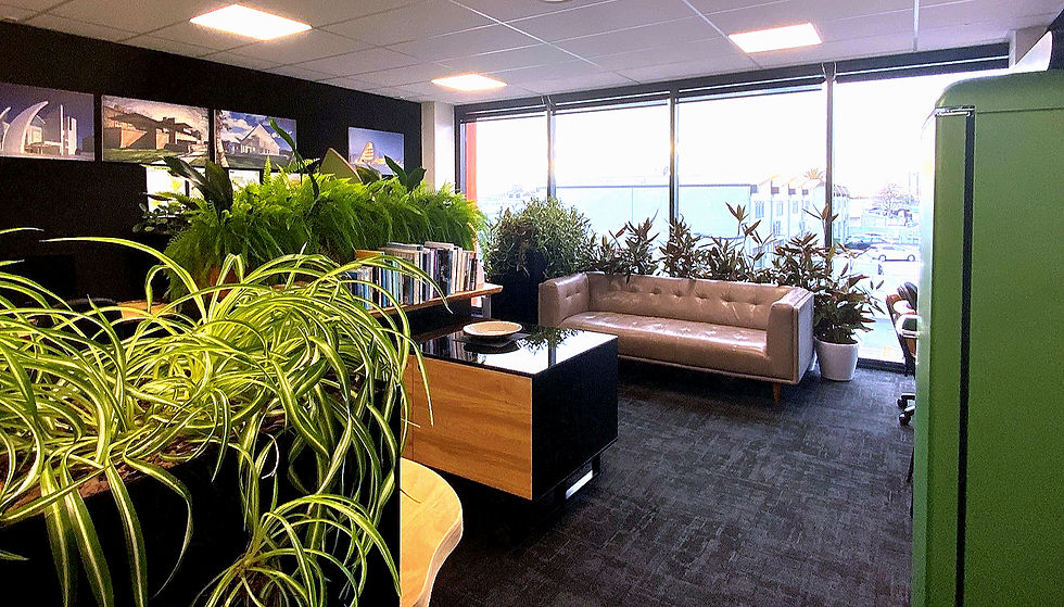 Imagine Architecture's biophilic studio