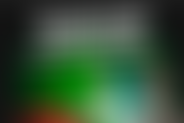 Vencedores Palpites IPGM Brasileirão 2015