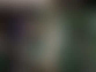 Luva em Foco 2014 – Semana 3