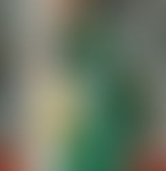 Luva em Foco – Semana 49