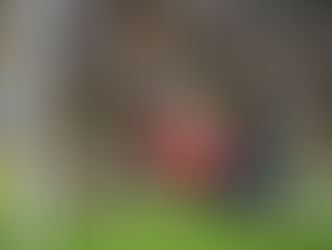 Luva em Foco – Semana 5