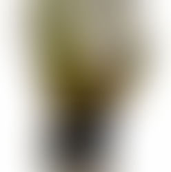 Reusch Argos já disponível na TKA