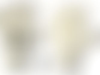 Nova Marca de Luva no Mercado