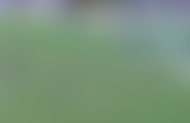 Globoesporte desvenda Bruno