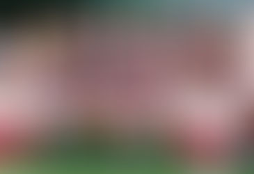 Lembra do Wellerson?