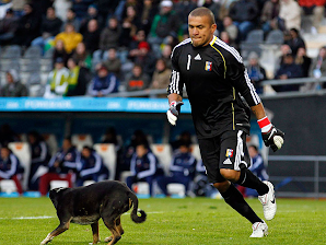 Luva em Foco – Semana 25