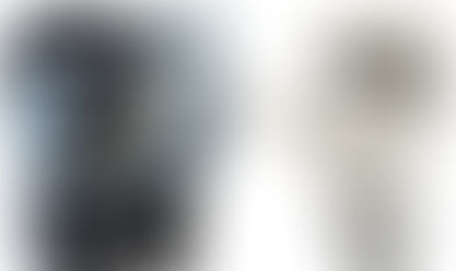 Palma Frisada ou não frisada, eis a questão!