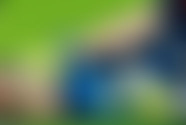 Luva em Foco – Semana 24