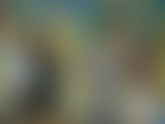 Luva em Foco – Semana 25