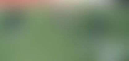 Estreia no Pan será em grama sintética