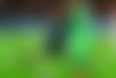 Goleiro no Modelo de Jogo