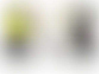 Novas Luvas Reusch Keon