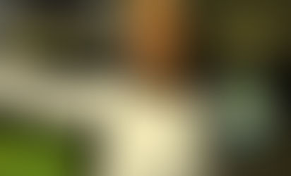 Aos 41, Kasey Keller deixa o futebol