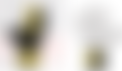 Penalty lança linha 2013