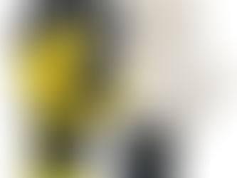 Novas Luvas Reusch 2010