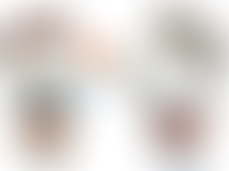 A Bearoz chega ao Brasil!