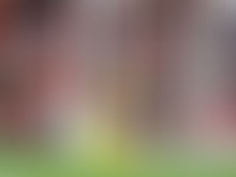 Sensacional Shay Given