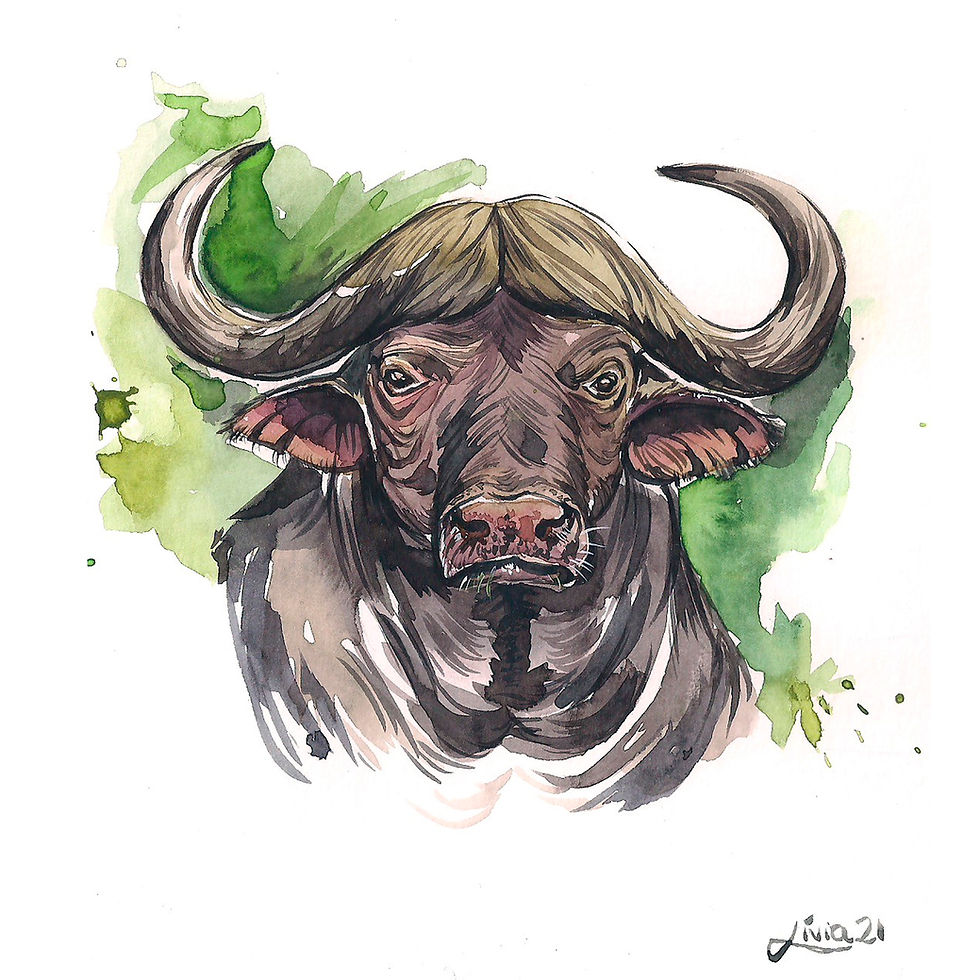 Miniatura: Aquarelas Big 5 - África 15x20cm