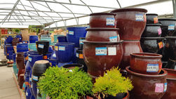 50% off selected pots