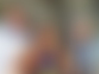 Welcome to Villa Villekulla