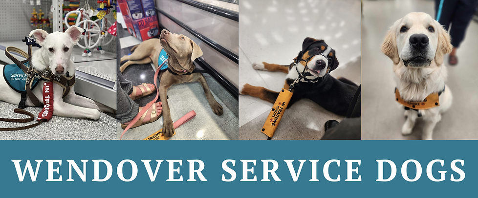 Wendover Service Dogs (1).png
