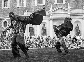 Arts Impact Manager