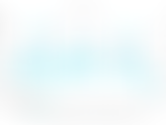 BRL Currency Report | Q3 2020