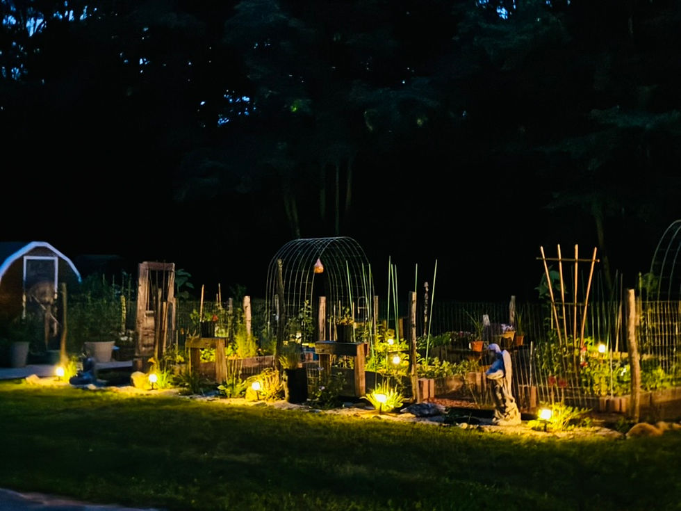 SoulSage Night gardens