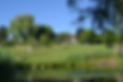 DSC_9881.JPG