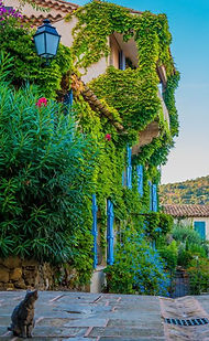 Equilibrage de l'habitat | Relaxevasion