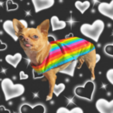Rainbow Tank