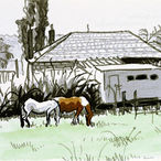 Predominantly black and white ink drawing of a field with 2 horses grazing. One is light grey with quite a sway back, and the other is chestnut with white patches. There is a house, a truck and greenery in the background.