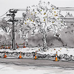Predominantly black and white ink drawing of a roadside with a large pear tree covered in golden brown pears, power lines going through the branches, and orange road cones in a line.
