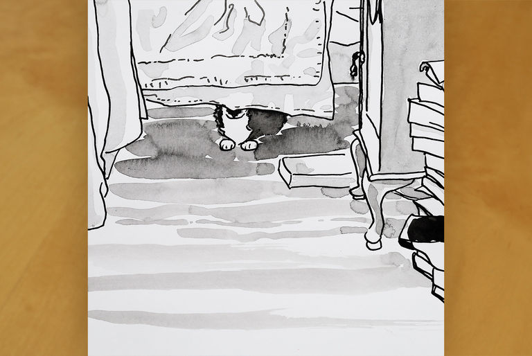 Ink drawing of grey and white cat hiding under a bed, eyes obscured by bedclothes