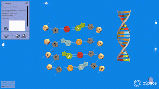 Studio_DNA.gif
