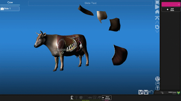 VIVEDScienceCowTransmission.gif