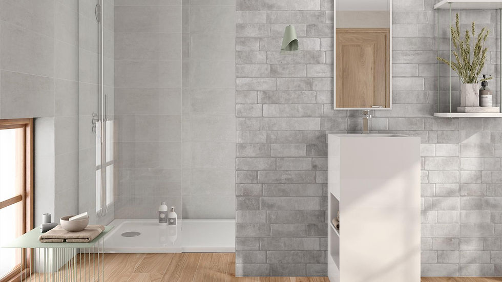 Aire Ceniza on walls of bathroom