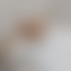 子犬