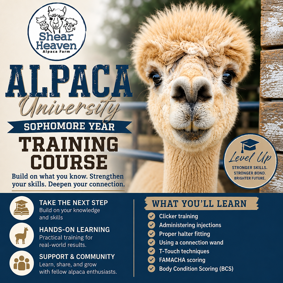 Alpaca U-2 Sophomore Course