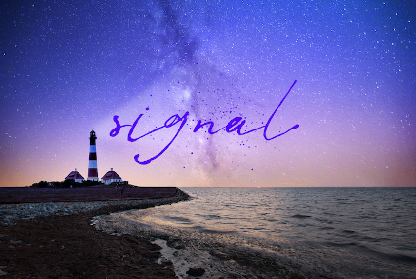 signal web